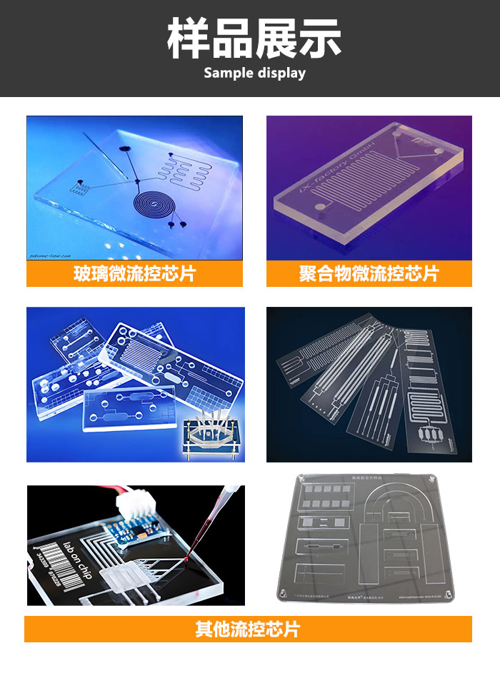 高精密微流控芯片樣品
